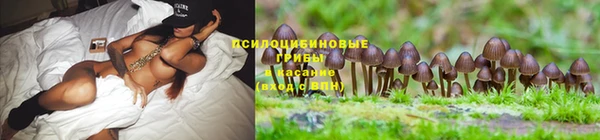 гидропоника Мегион