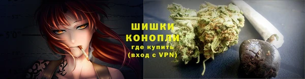 гидропоника Мегион