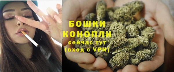apvp Медногорск